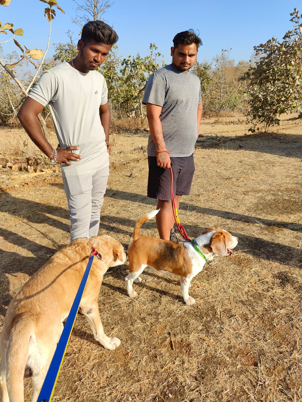 Furventures - Pet Adventures & Events - Photo 29